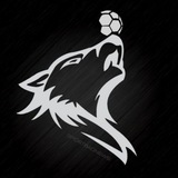 ⚽ Sport Bad News