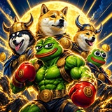 MemeCoin Launch 300X